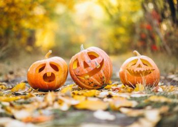 Bunte Herbstferien für Kinder und Jugendliche in Ratzeburg