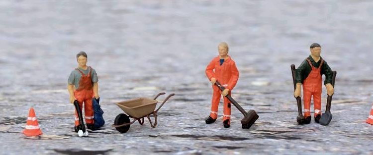 Laub, Schnee und Eis