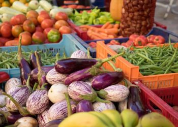 Sofortprogramm zur Unterstützung der Tafeln greift