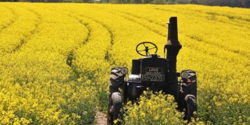 Neustart für die Internationale Grüne Woche