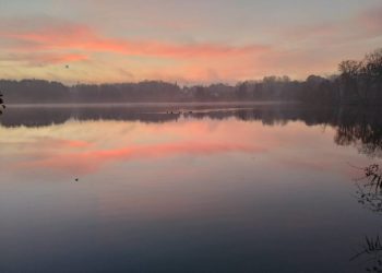 Das „Foto der Woche“