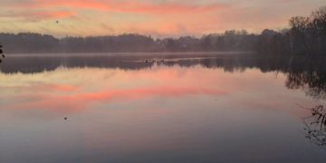 Das „Foto der Woche“