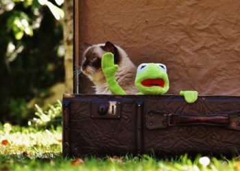 Kinderheim – „Haus am See“