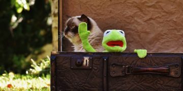 Kinderheim – „Haus am See“