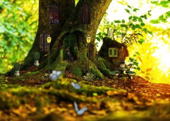 Feenritter und Zauberwesen in der Bücherei