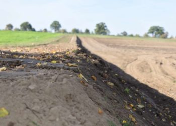 Die größte Neuwaldbildung im Kreis