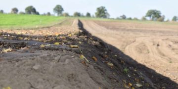 Die größte Neuwaldbildung im Kreis