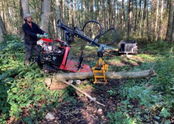 Der Oldenburger See bei Mölln braucht Wasser