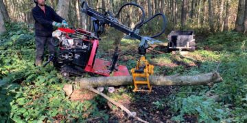 Der Oldenburger See bei Mölln braucht Wasser