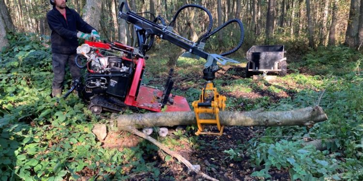Der Oldenburger See bei Mölln braucht Wasser