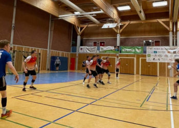 Handball auf Augenhöhe