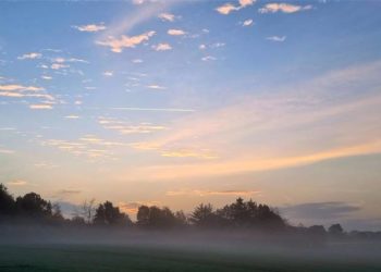 Das „Foto der Woche“