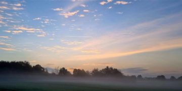 Das „Foto der Woche“