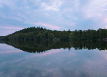 Das „Foto der Woche“