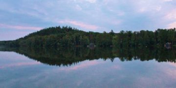 Das „Foto der Woche“