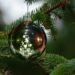 Weihnachtsmarkt und Weihnachtssingen