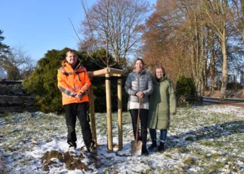 Die Obstbaumwiese in Büchen wächst
