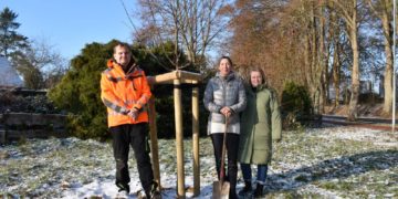 Die Obstbaumwiese in Büchen wächst