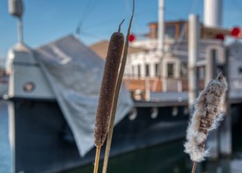 Wo alte Pötte und Speicher Geschichten erzählen