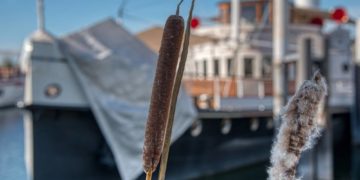 Wo alte Pötte und Speicher Geschichten erzählen