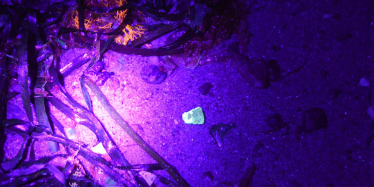 GeoPark – Exkursionen am Strand rund um Silvester