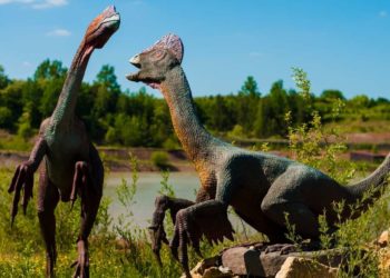 Fossilien und Bernsteine – ein Blick in die Dinosaurierzeit