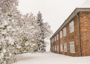 Neujahrsstadtführung – winterlicher Rundgang durch die Schifferstadt