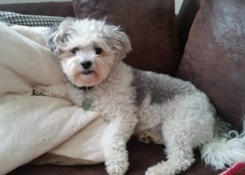 Gemütliches Plätzchen für die Festtage