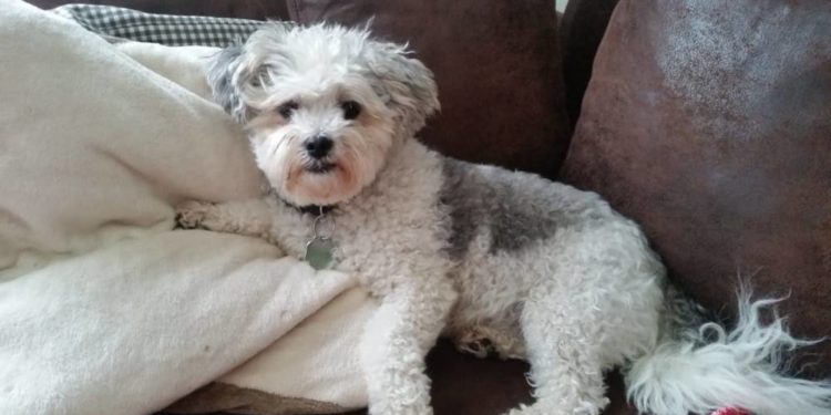 Gemütliches Plätzchen für die Festtage