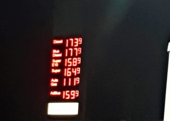 Das „Foto der Woche“