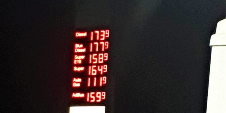 Das „Foto der Woche“