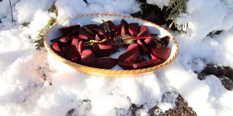 „Suche nach den Weihnachtsferien“