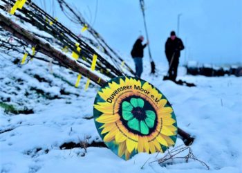 Stadtwerkeverbund verschenkt zu Weihnachten Obstbäume