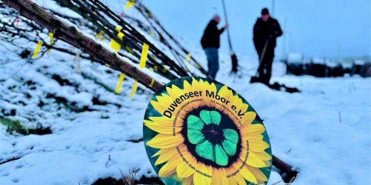 Stadtwerkeverbund verschenkt zu Weihnachten Obstbäume