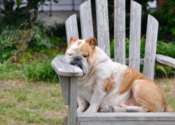 Stadtbücherei geht in die Weihnachtspause