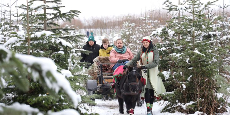 Kreativ gelebte Inklusion beim Mustiner Tannenbaumverkauf
