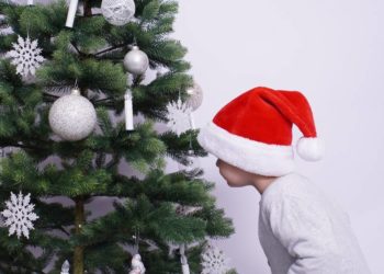 Weihnachtsbaumverkauf in Bliestorf ohne Kiwanis