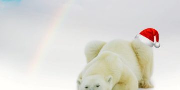 Kreisverwaltung zum Jahreswechsel geschlossen