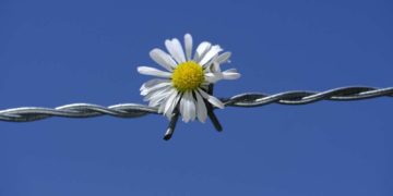 Land stärkt soziale Hilfen