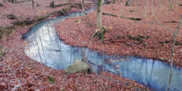 Schiebenitz tot – Bille bedroht – BUND informiert