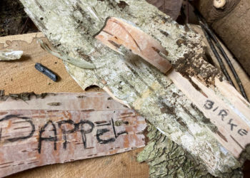 Naturpark-Werkstatt im Januar: Pappeln und Birken