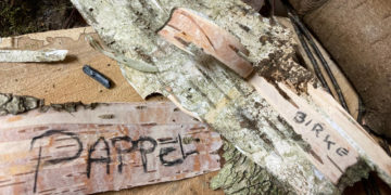 Naturpark-Werkstatt im Januar: Pappeln und Birken