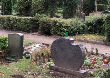 FDP: Doch keine Reerdigung in Mölln