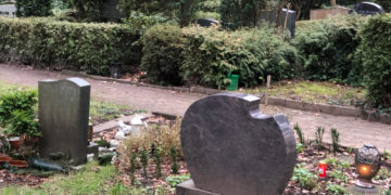 FDP: Doch keine Reerdigung in Mölln