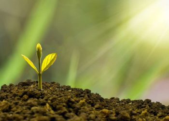 Internationale Grüne Woche 2023