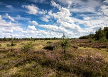 Erhalt der Biodiversität – eine Aufgabe für uns alle
