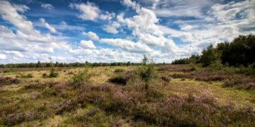 Erhalt der Biodiversität – eine Aufgabe für uns alle