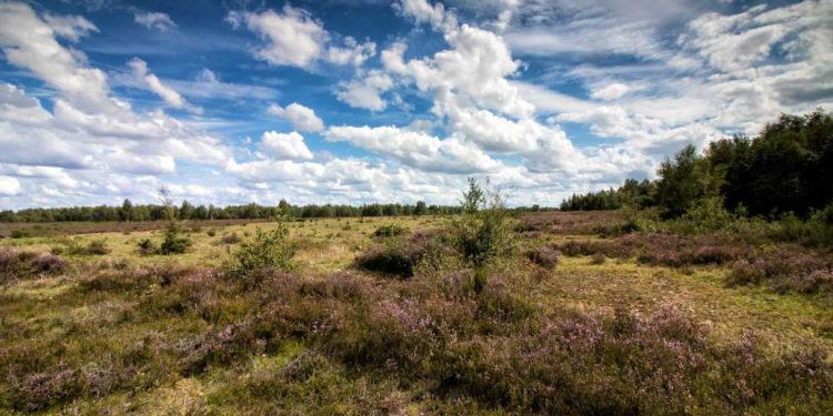 Erhalt der Biodiversität – eine Aufgabe für uns alle