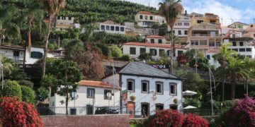 Madeira – Wilde Natur auf der Blumeninsel im Atlantik über und unter Wasser