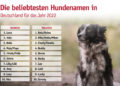 Luna und Balu lassen sich nicht vom Thron stoßen